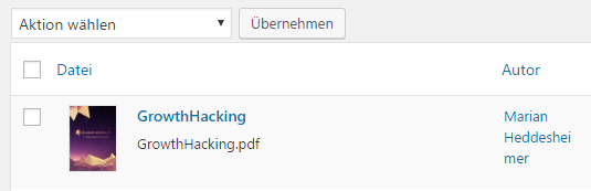 PDF-Vorschaubild